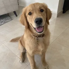 لونا